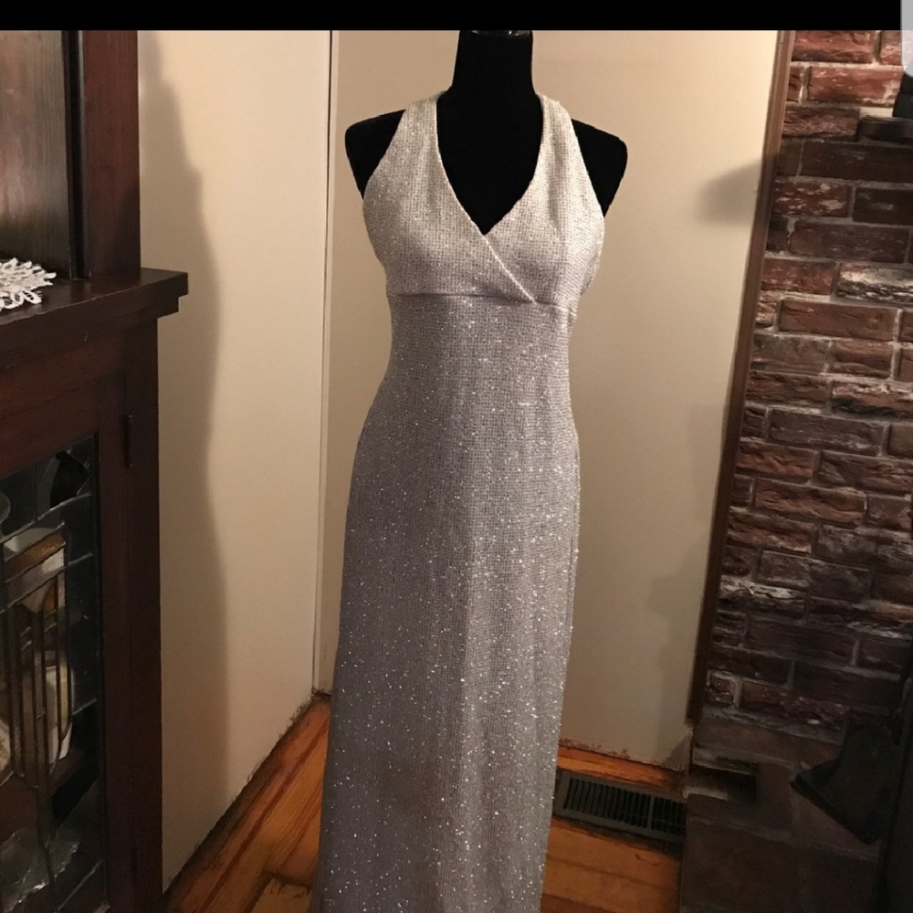 Silver gown